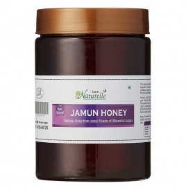 Farm Naturelle Jamun Honey   Plastic Jar  815 grams